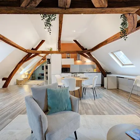 Magnifique Loft Au Pied Du Tram - Wifi - Bureau