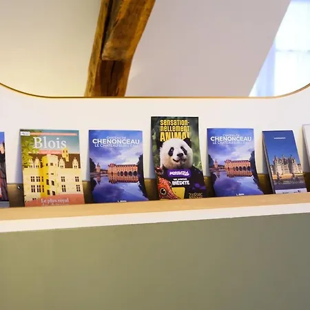 Magnifique Loft Au Pied Du Tram - Wifi - Bureau * Тур