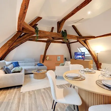 Magnifique Loft Au Pied Du Tram - Wifi - Bureau * Тур