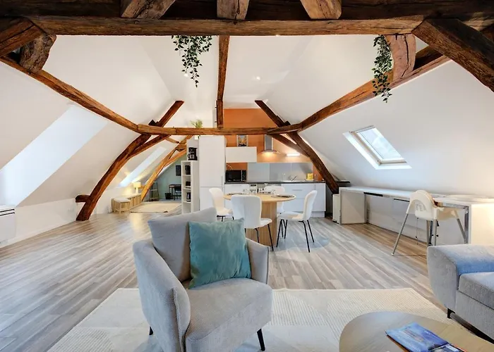 Magnifique Loft Au Pied Du Tram - Wifi - Bureau