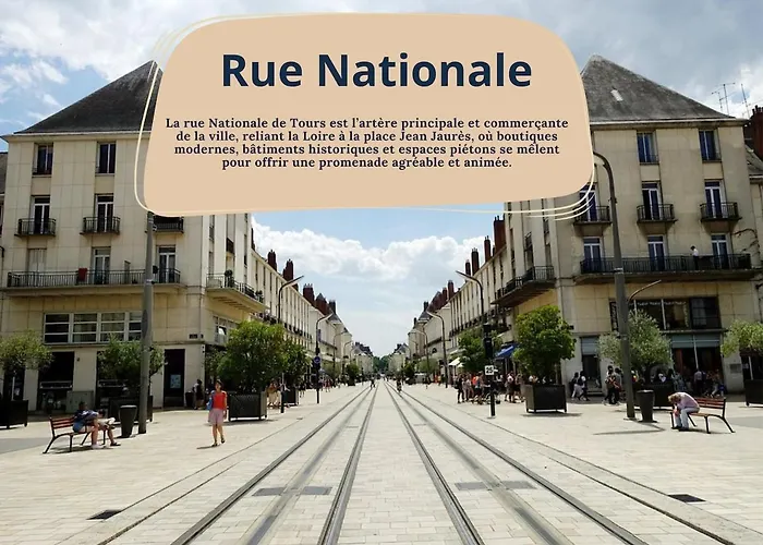 Magnifique Loft Au Pied Du Tram - Wifi - Bureau *